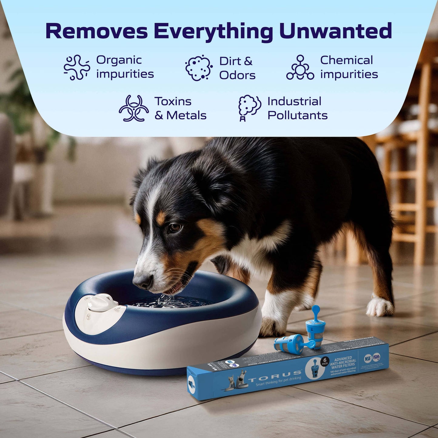 Advanced Filter (6 pack)