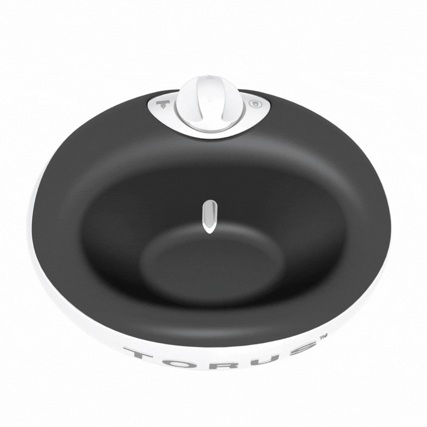 Mini Torus 34 oz