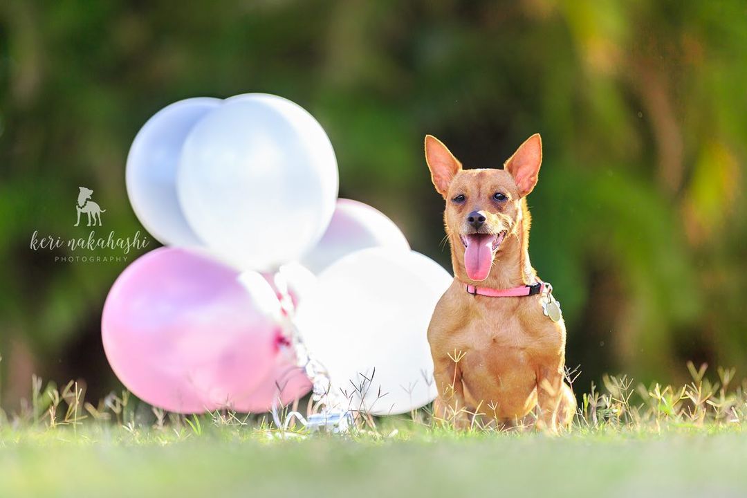 Go shorty, it’s my birthday!