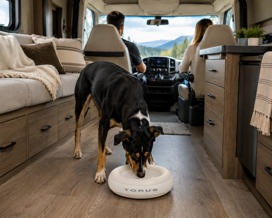 Why Your Pet Deserves a Portable Water Dispenser - Not a Squeeze Bottle