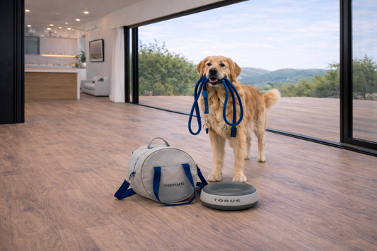 How Much Water Should a Dog Drink Daily? (Guide 2026)