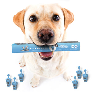 TORUS PET™ Replacement Filter Packs - to remove impurities from your pets water.