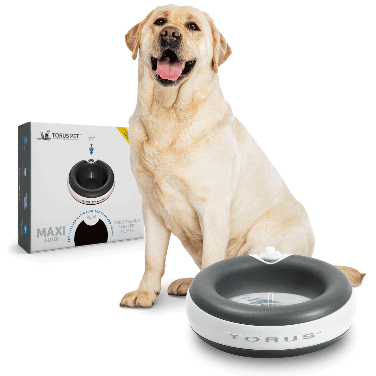 TORUS™ MAXI Filtered Water Bowls - 2-Liter (1/2 Gallon) - for