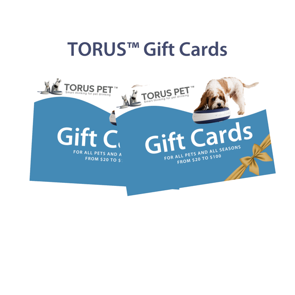 Torus Pet filtered travel water bowl gift card