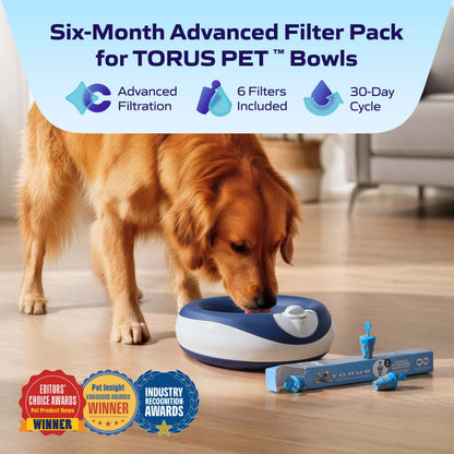 Advanced Filter (6 pack)