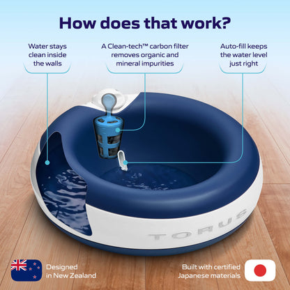 Advanced Filter (6 pack)