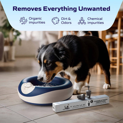 Standard Filter (6 pack)