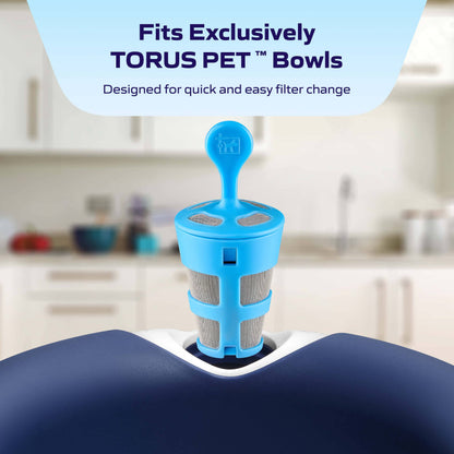 Advanced Filter (6 pack)