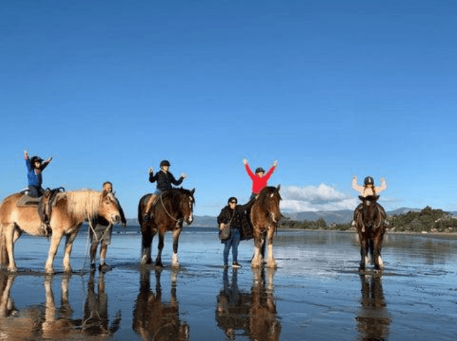 People riding horses in shallow water.