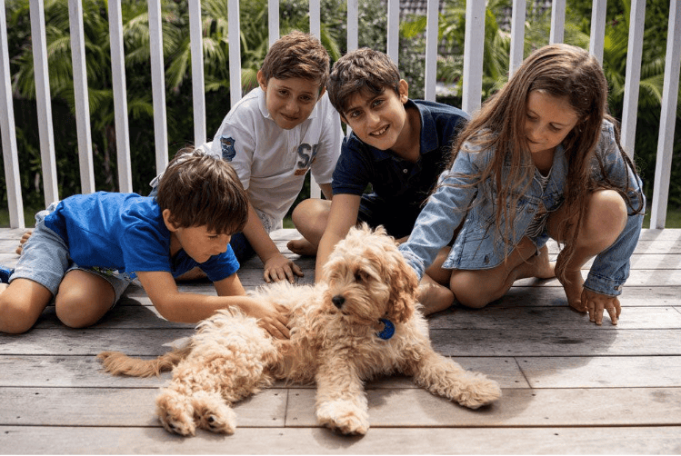 Four children petting a fluffy dog on a deck.