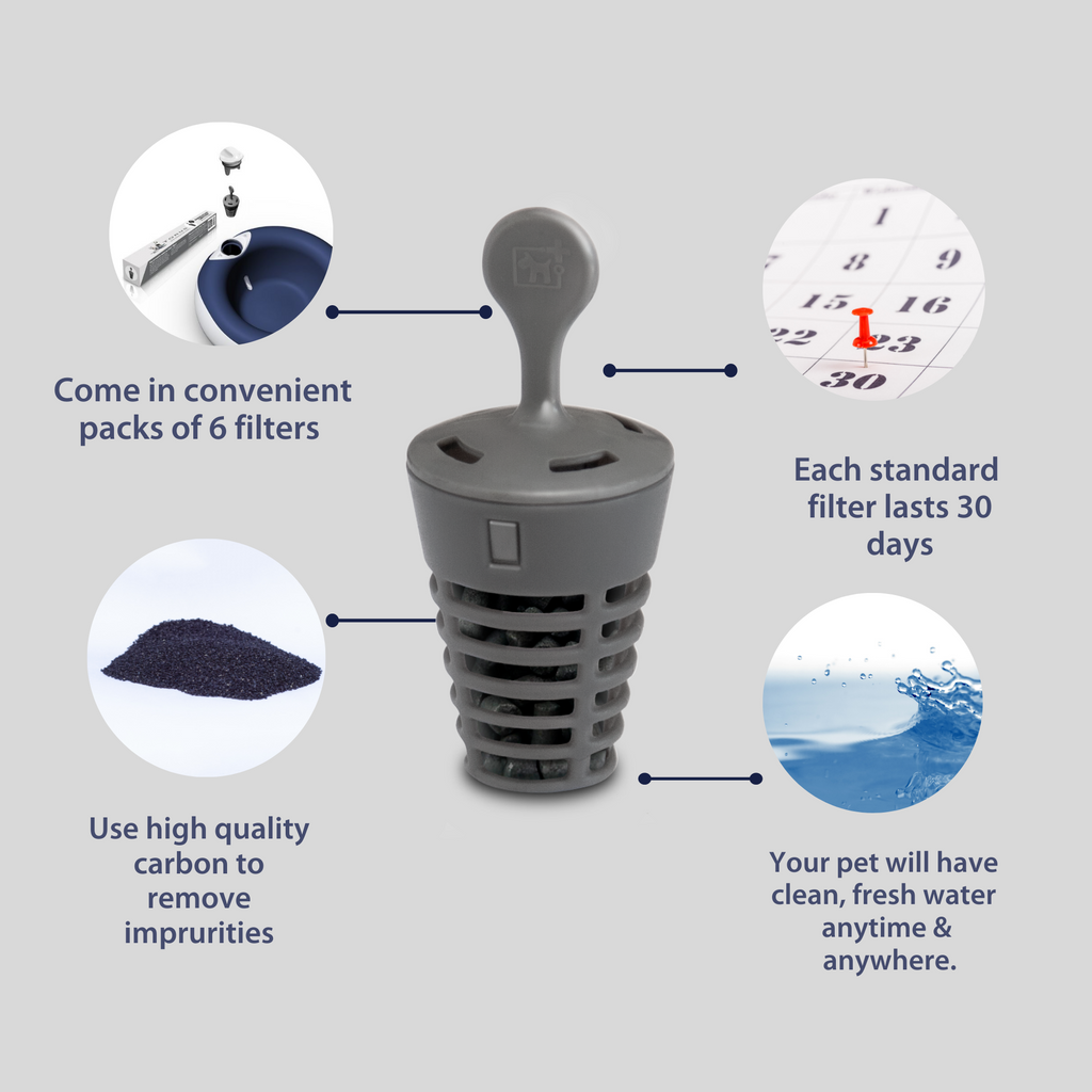 Torus water bowl filters best sale