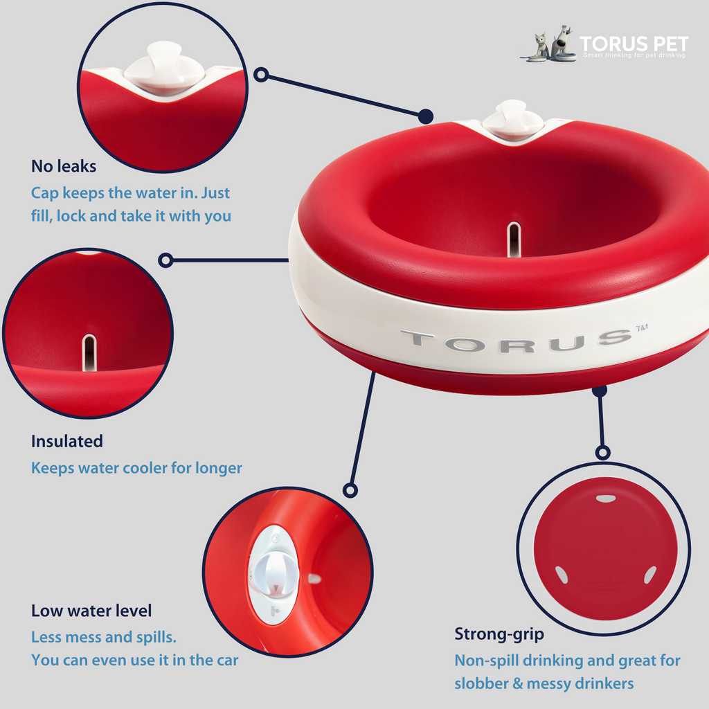 Torus pet water shop bowl