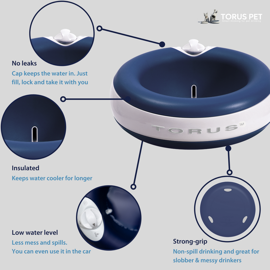 Torus water bowl best sale