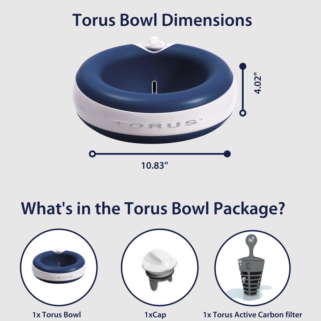 TORUS MAXI Filtered Water Bowl 2 Liter 1 2 Gallon BLUE for