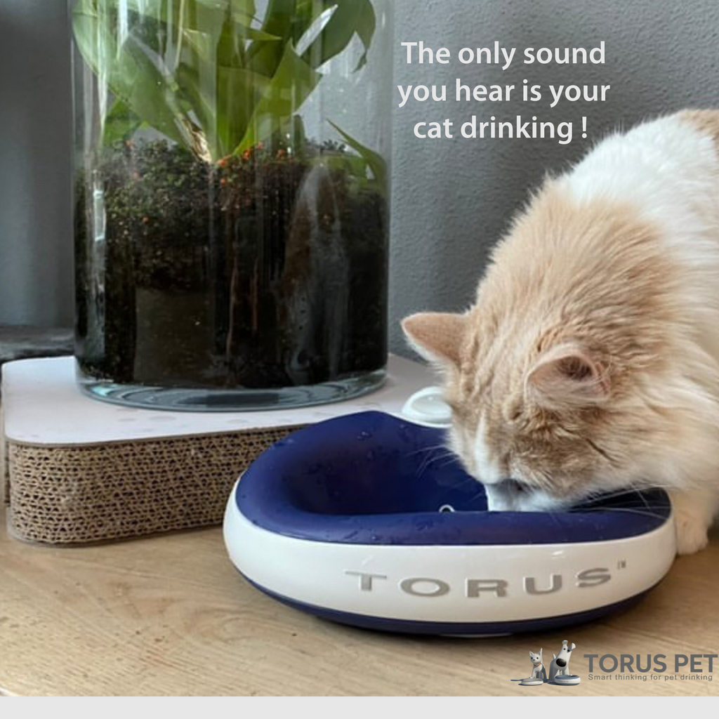 Torus Pet  TORUS™ is a portable pet filtered water bowl for travel and home