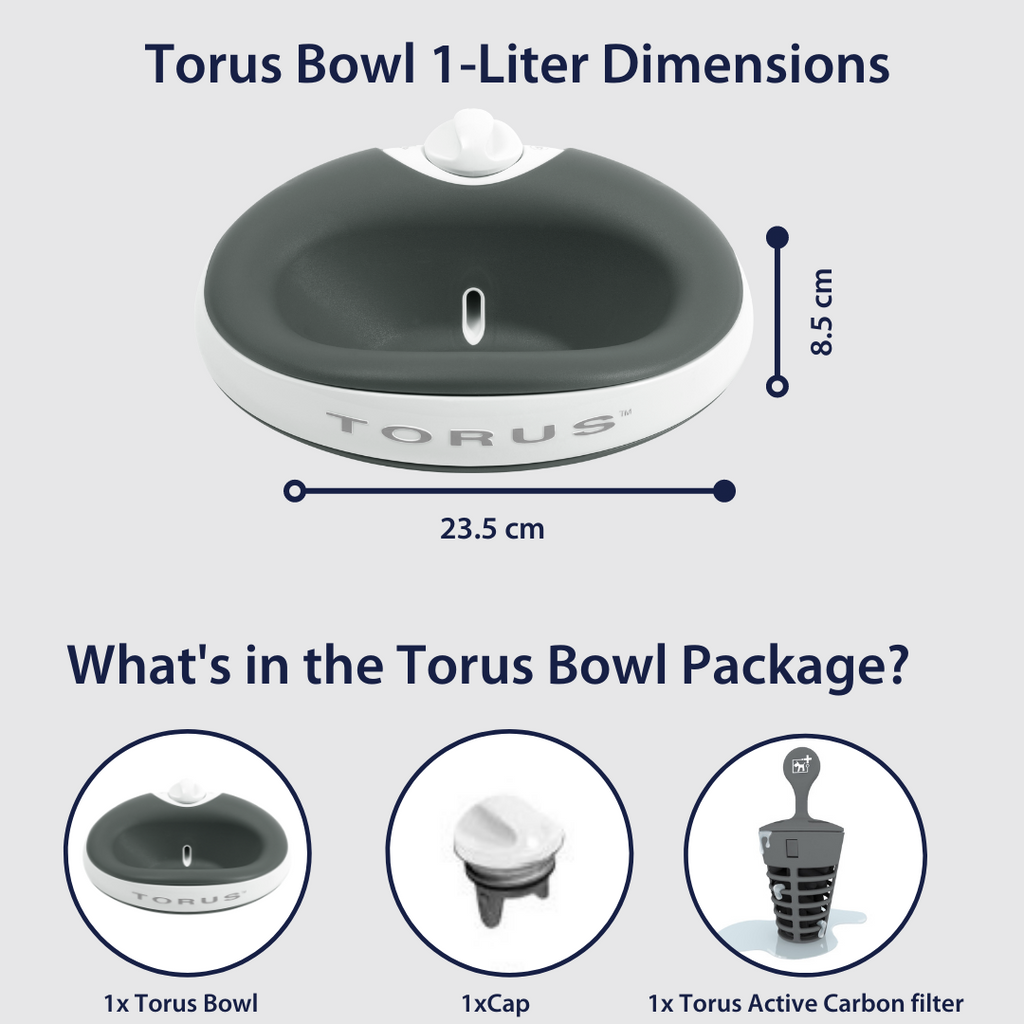 TORUS MINI Filtered Water Bowl 1 Liter 1 4 Gallon BLUE