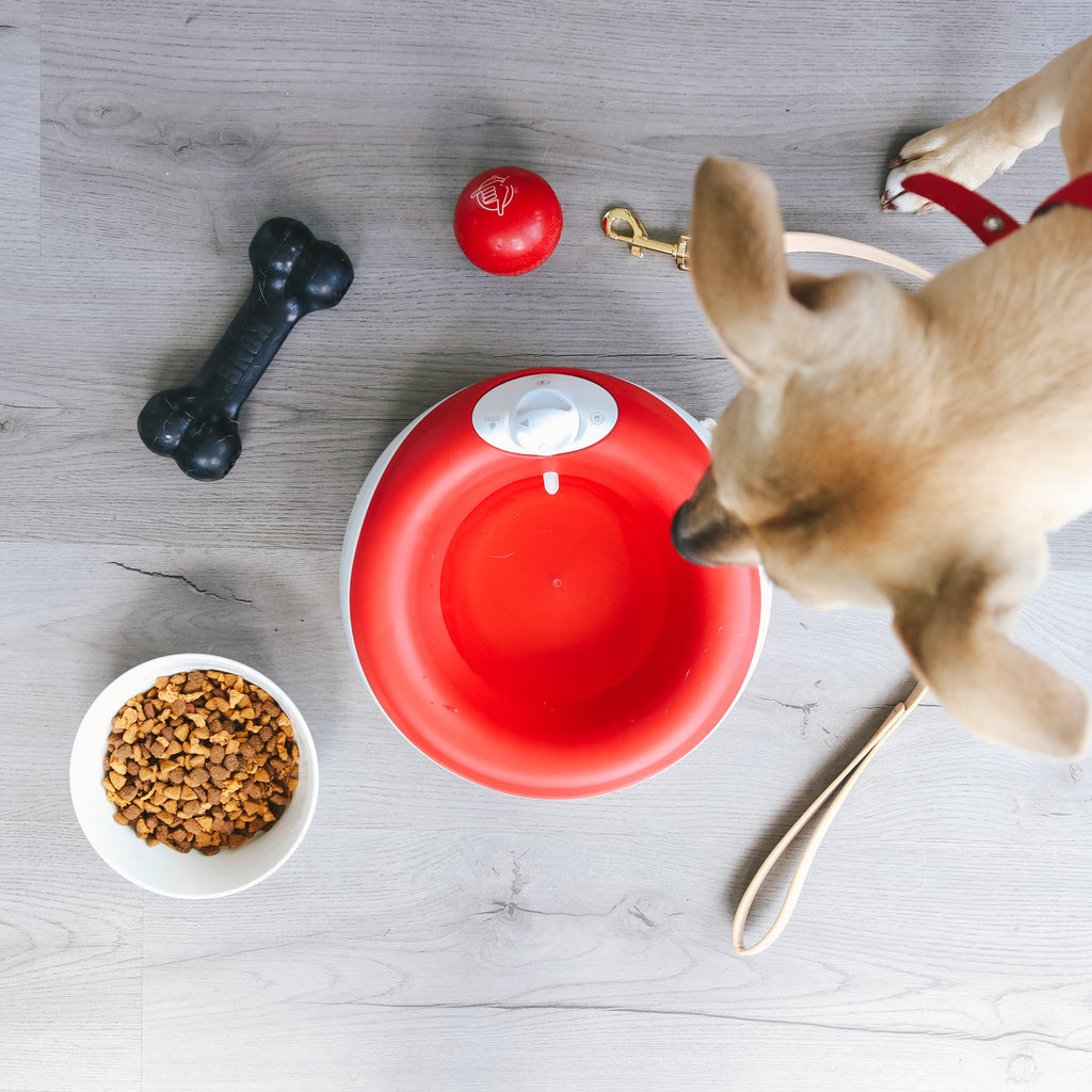 Torus Pet  TORUS™ is a portable pet filtered water bowl for travel and home