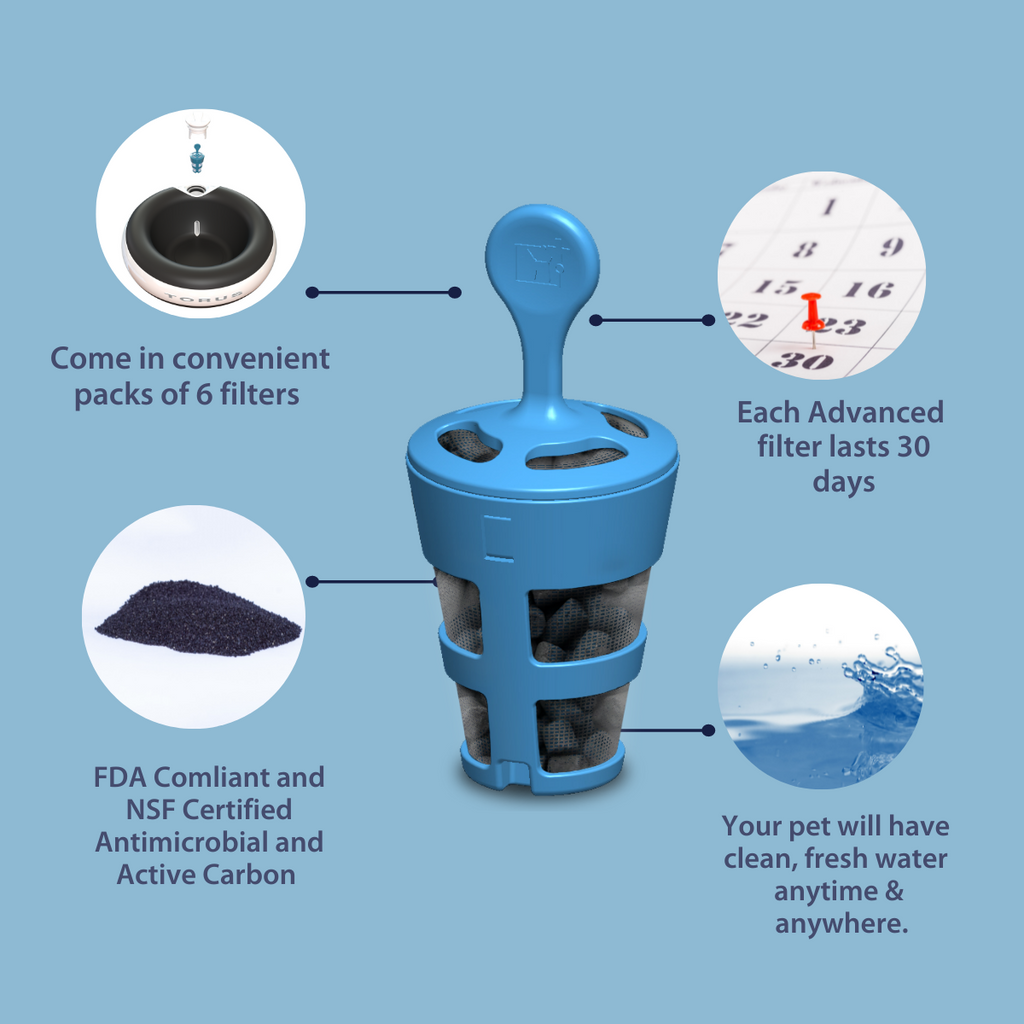 Torus water bowl filters best sale